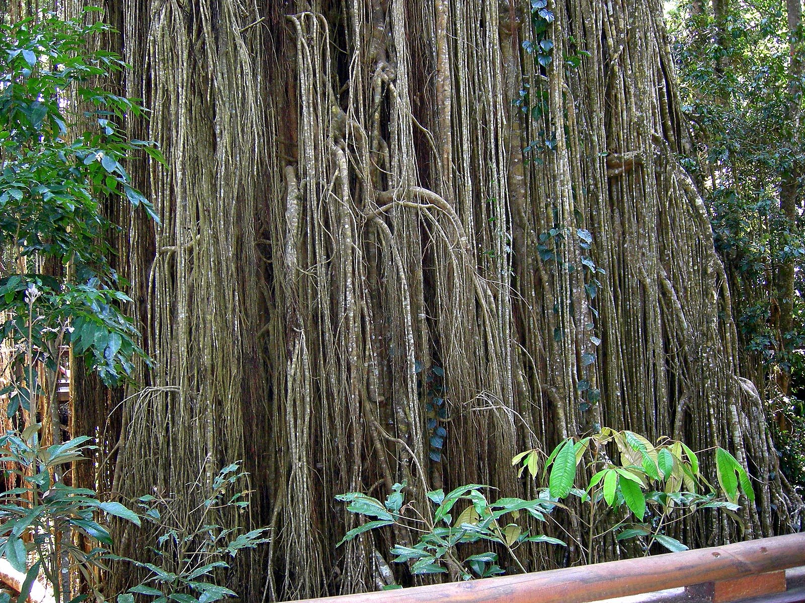 [DSCN4120.JPG]