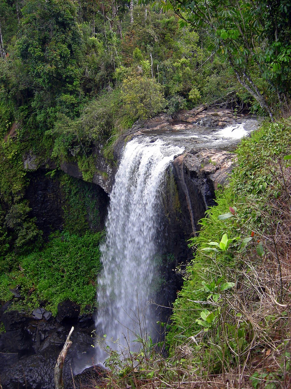 [DSCN4140.JPG]