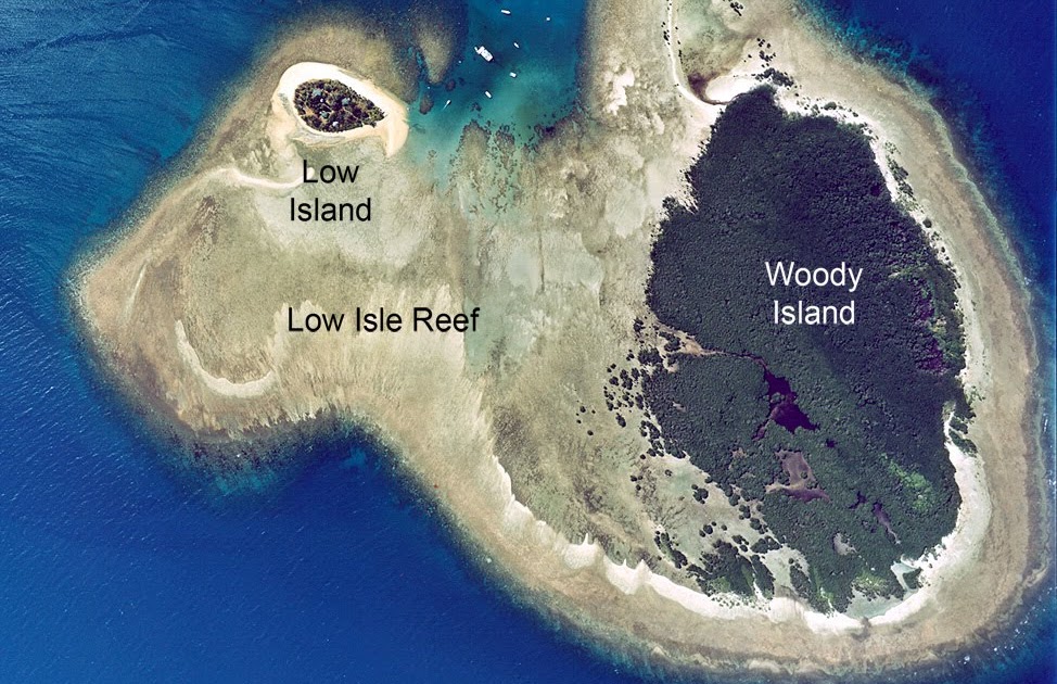 Tropical Far North Queensland 36. Low Isles Island Walk