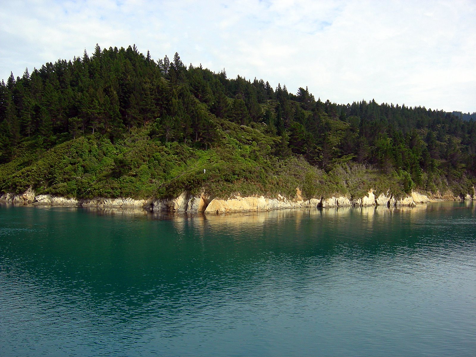 [DSCN1918.JPG]