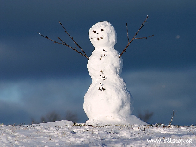 [060101-snowman.jpg]