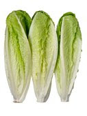 My Wok Life Cooking Blog - Stir-Fried Romaine Lettuce with Preserve Beancurd -