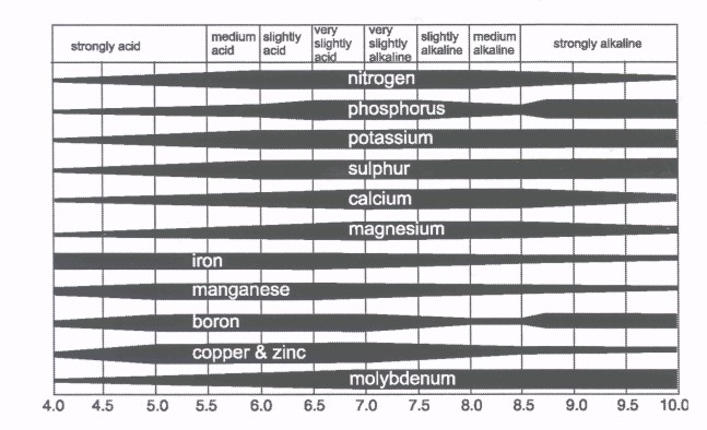 To learn more about soil pH