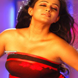 Hot Girl priyamani