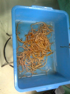 blog-apa-aja.blogspot.com blog-apa-aja.blogspot.com