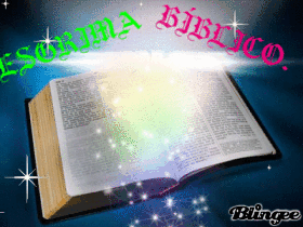 preguntas biblicas interesantes rose esgrima b 205 blico preguntas biblicas interesantes rose esgrima b 205 blico