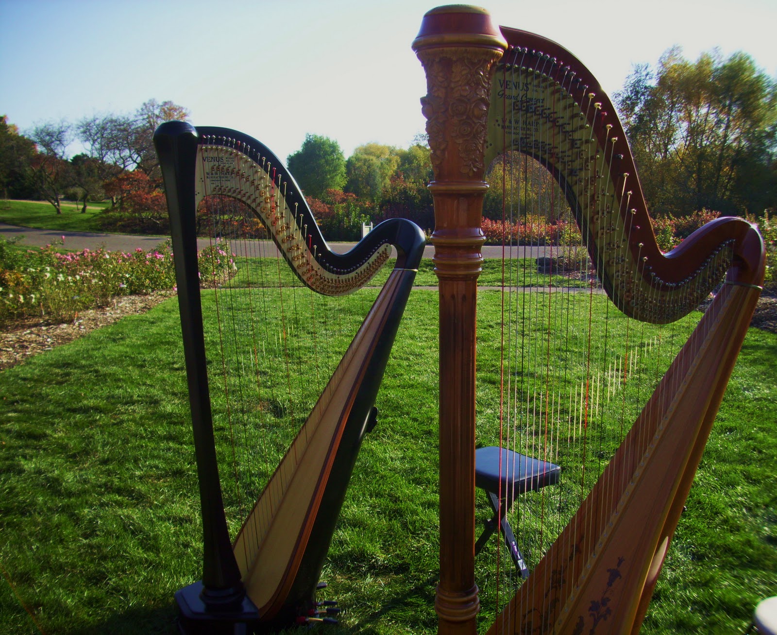 Arboretum in Chaska, MN.