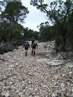 lotsa climbing