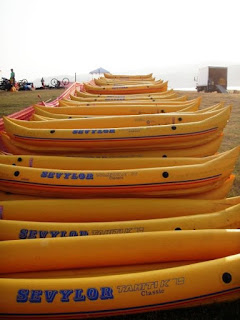 rubber duckies