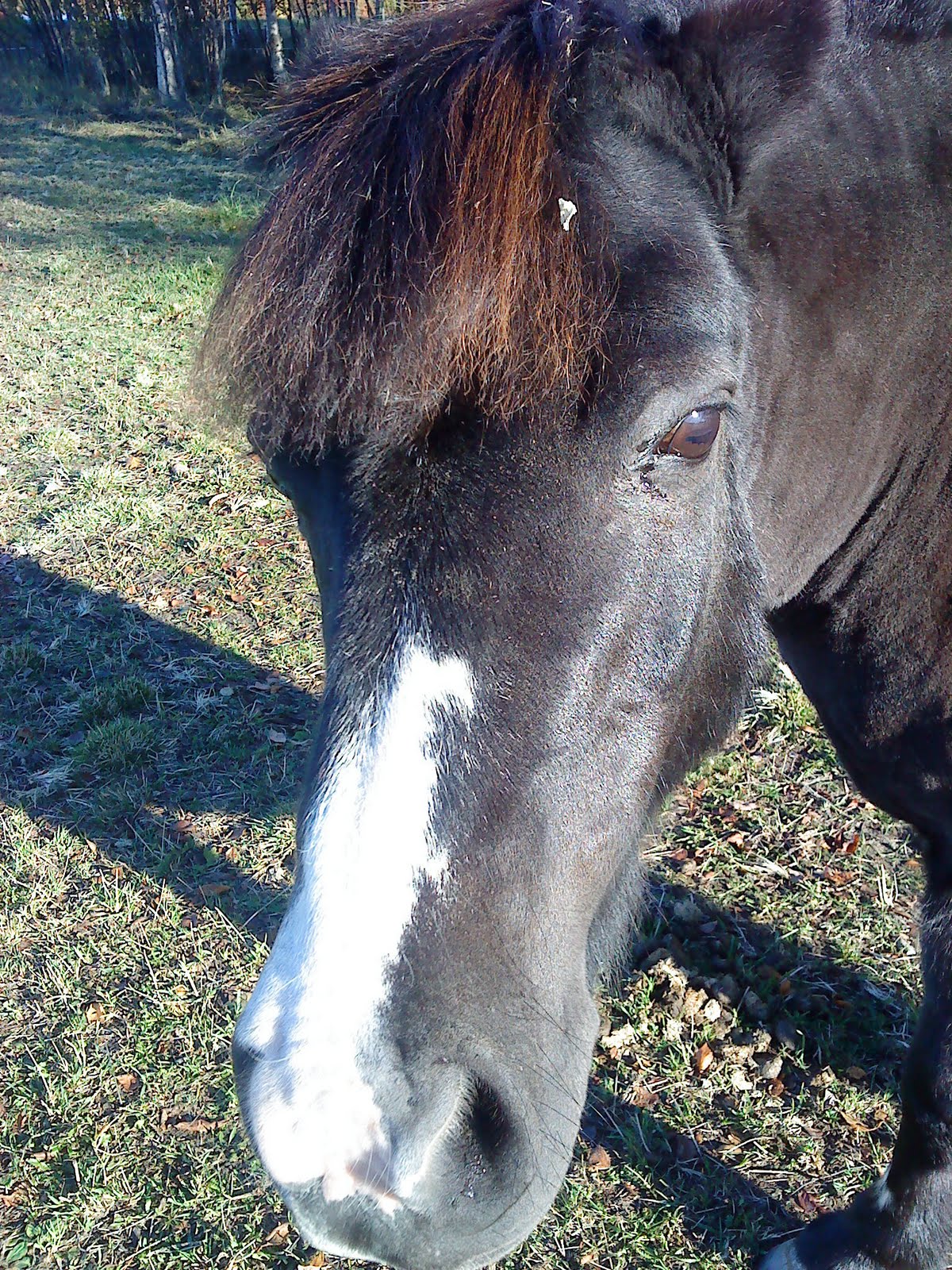 allt enligt jossan!;)