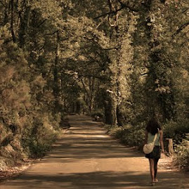 caminhos em que seguimos