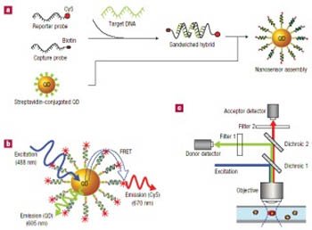 [Dargombez_NSensor_07.jpg]