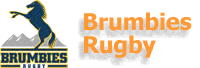 [brumbies.gif]