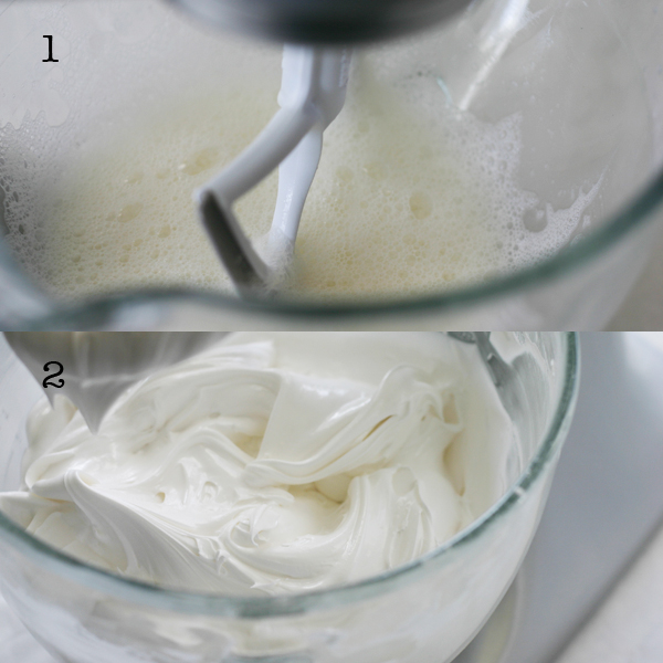 janee s recipes royal icing janee s recipes royal icing