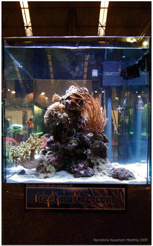[ReefMarine.com_01.jpg]