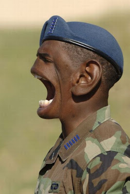 http://4.bp.blogspot.com/_XCYG27SuVtY/TSxyrDLRJJI/AAAAAAAABcw/gma-pWNIovc/s1600/gambar%2Bpelik%2B14.jpg