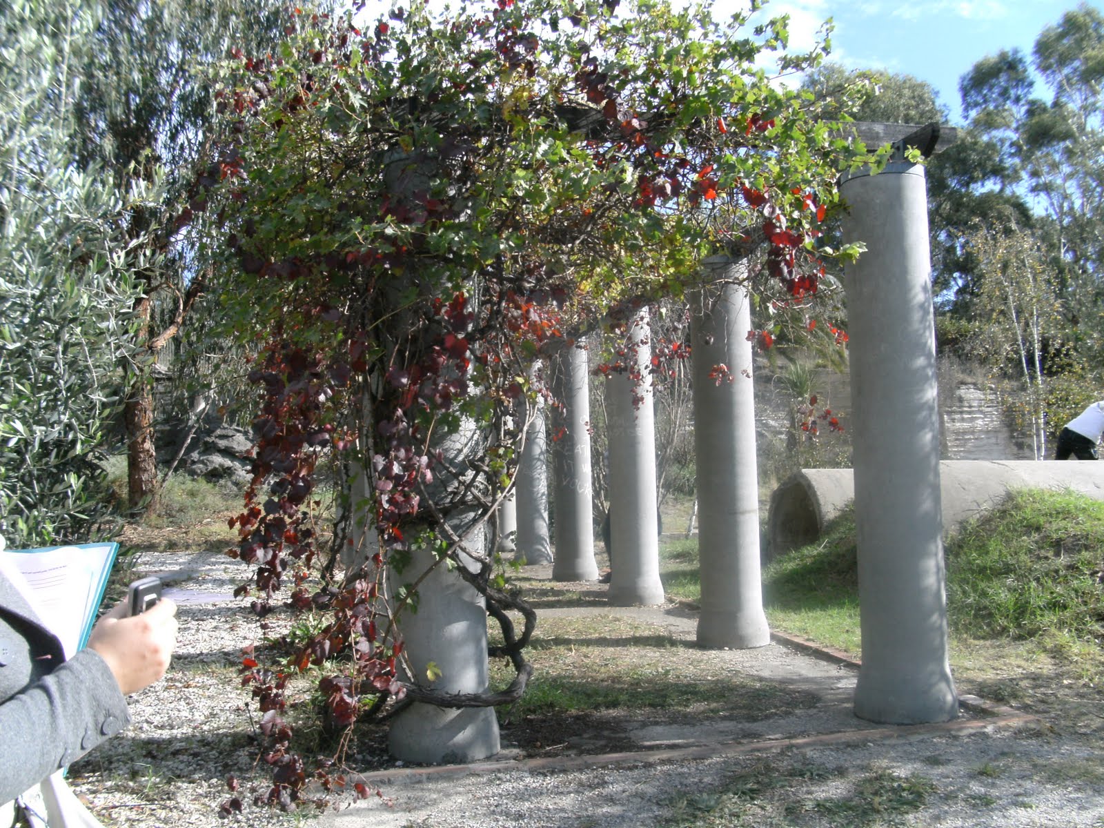 Our footscray connect to community Pipe makers park