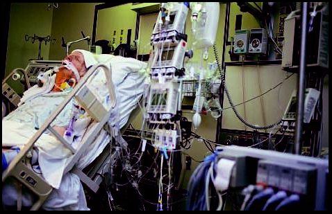 [lifesupport862.jpg]