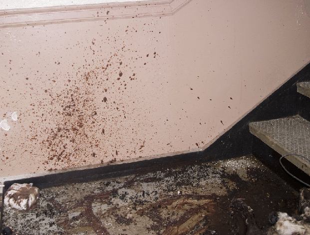 [bloodsplatteredwalls67323.jpg]