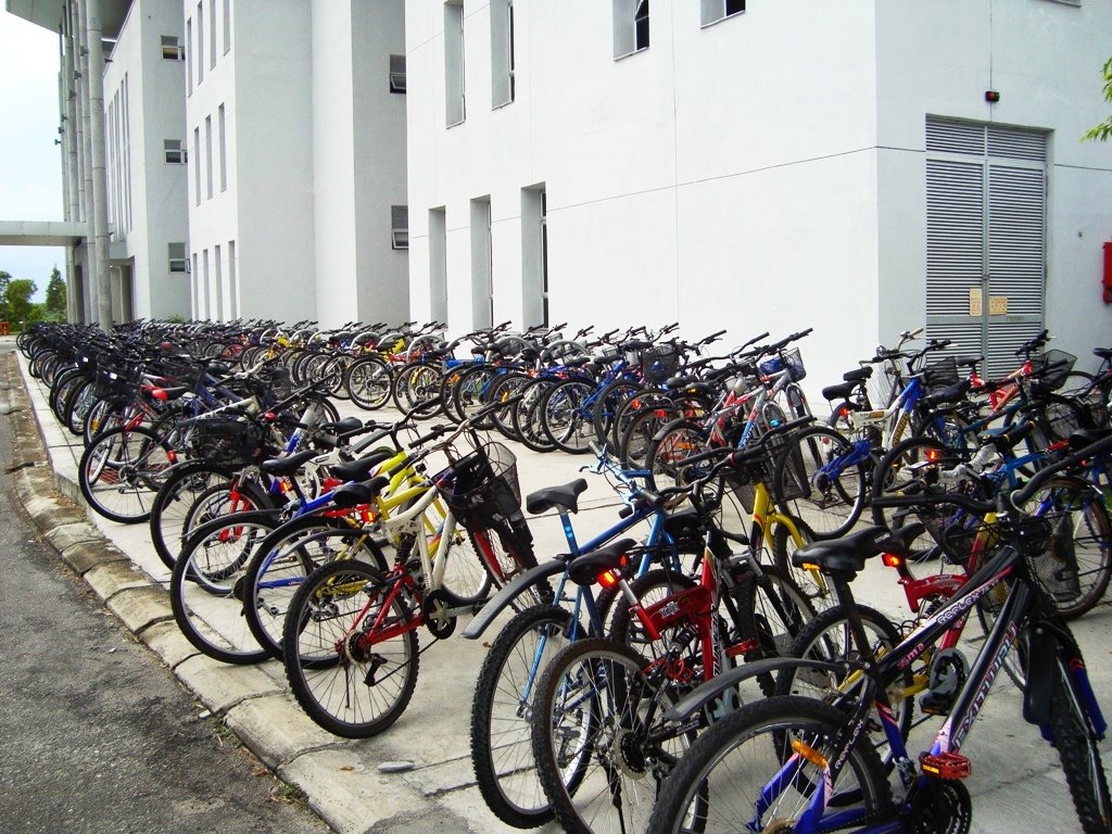 [DSC00993.JPG]