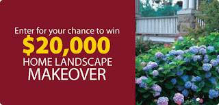 picture of home landscape makeover graphic