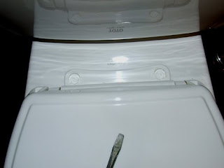 picture of new plastic toilet seat bolts installed on a toto toilet