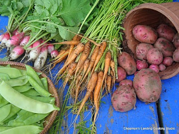 Healthy Harvest