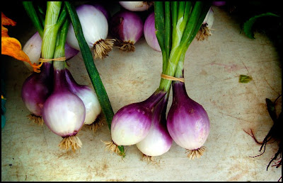 [Onions.jpg]