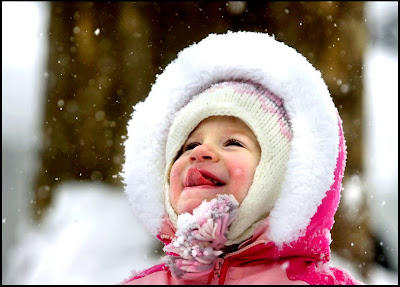 [Thursday+Blizzard(2).jpg]