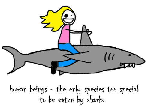 [sharkattack.GIF]