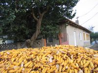 [Kobadin_KomunistlertarafindanoldurulenTatarogretmenlerindenMuttalipSait'inEvi.jpg]