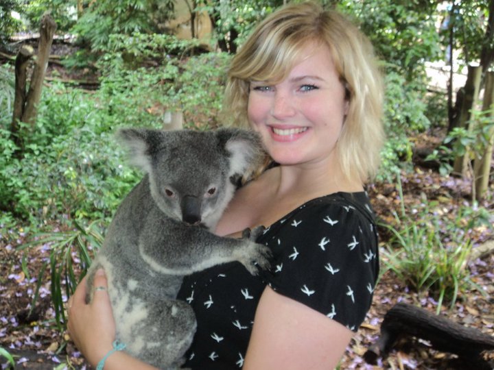 Koala Cuddling