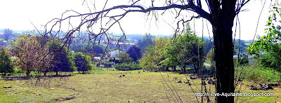 View of the Birouca duck farm in Mugron