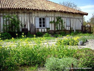 Vegetables and medical herbs