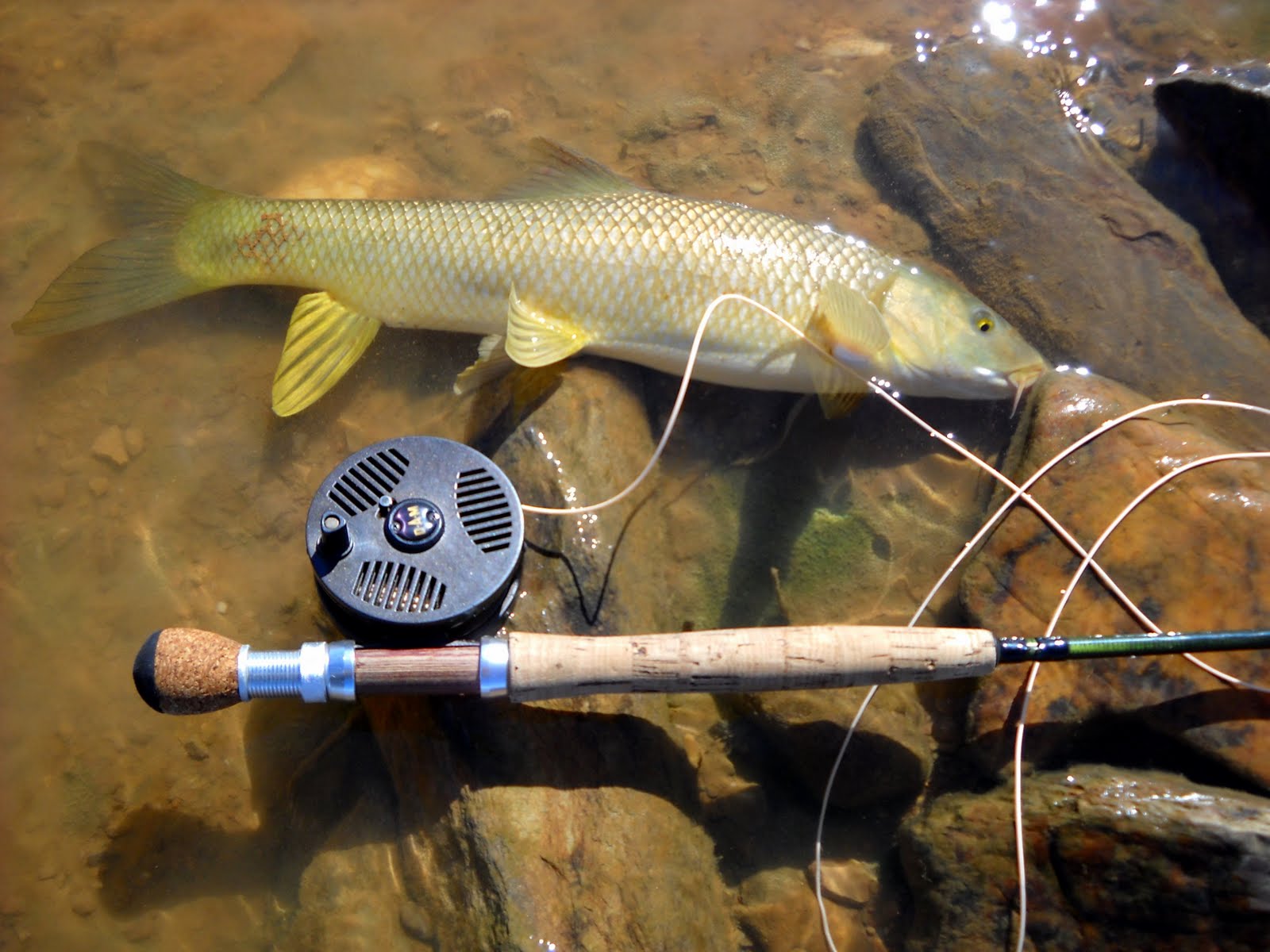 .LA MAGIA DE LA PESCA CON MOSCA EMBALSES DESTINOS DE LUJO PARA LA