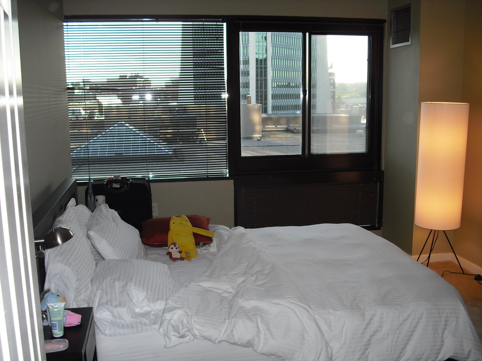 [DSCF0025.JPG]