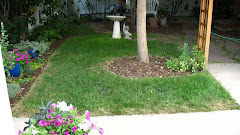 Old Birdbath Garden