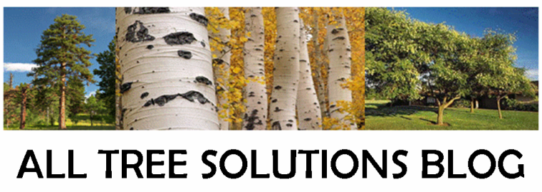 All Tree Solutions