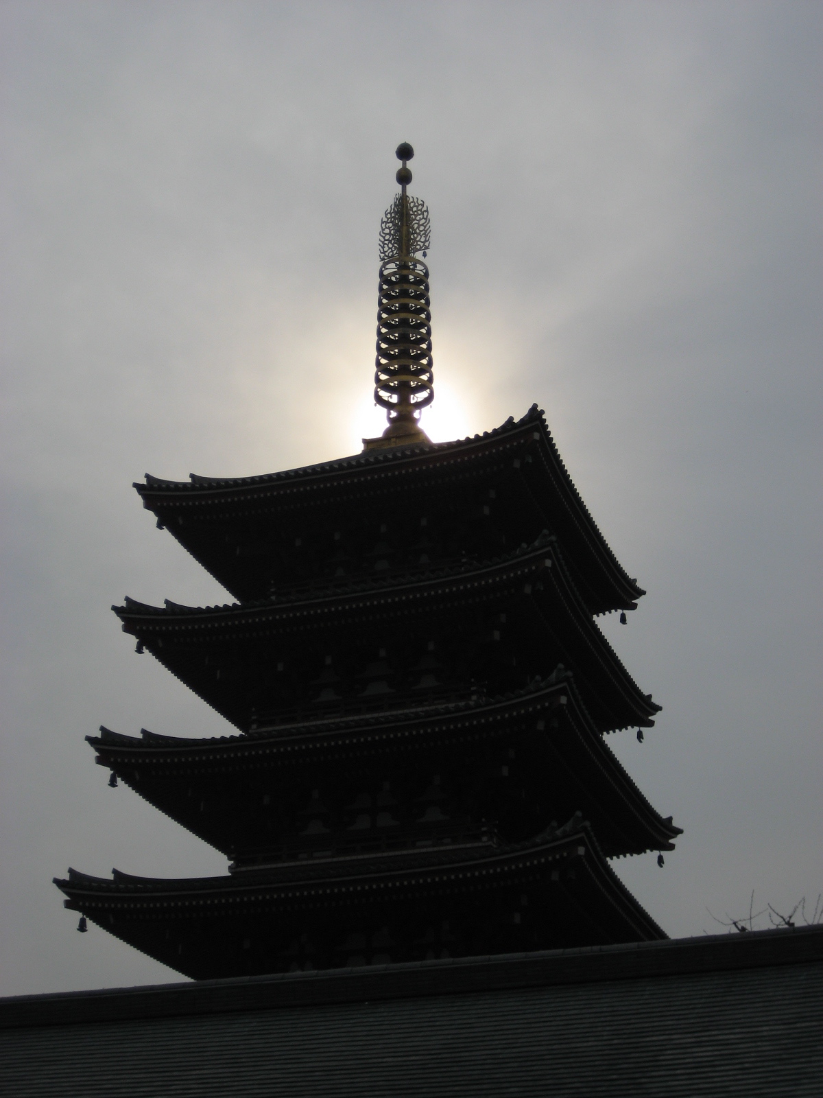 [IMG_0069.JPG]
