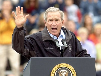 [bush.bmp]
