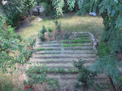 garden view from above, michigan soil, clay