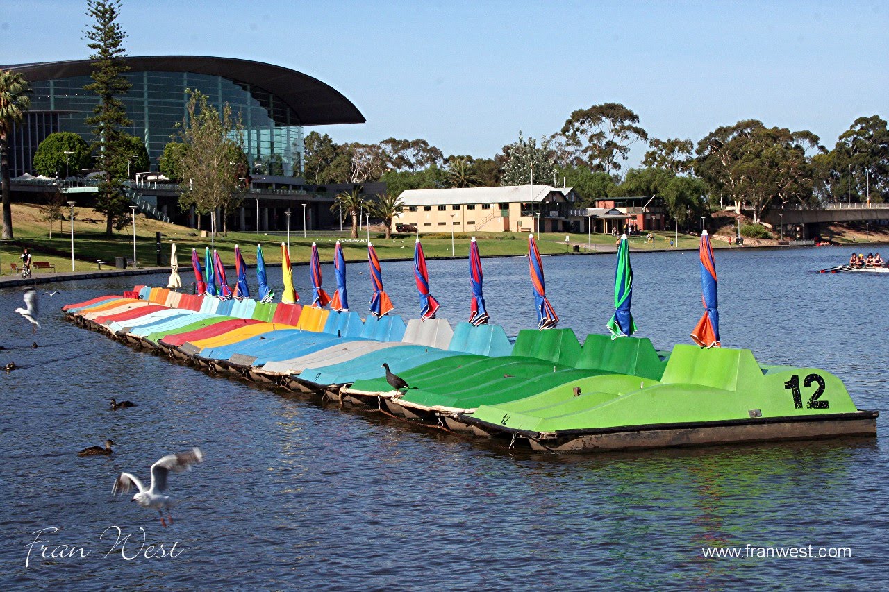 Fran West Torrens Tempts Tourists to a Pleasant Paddle