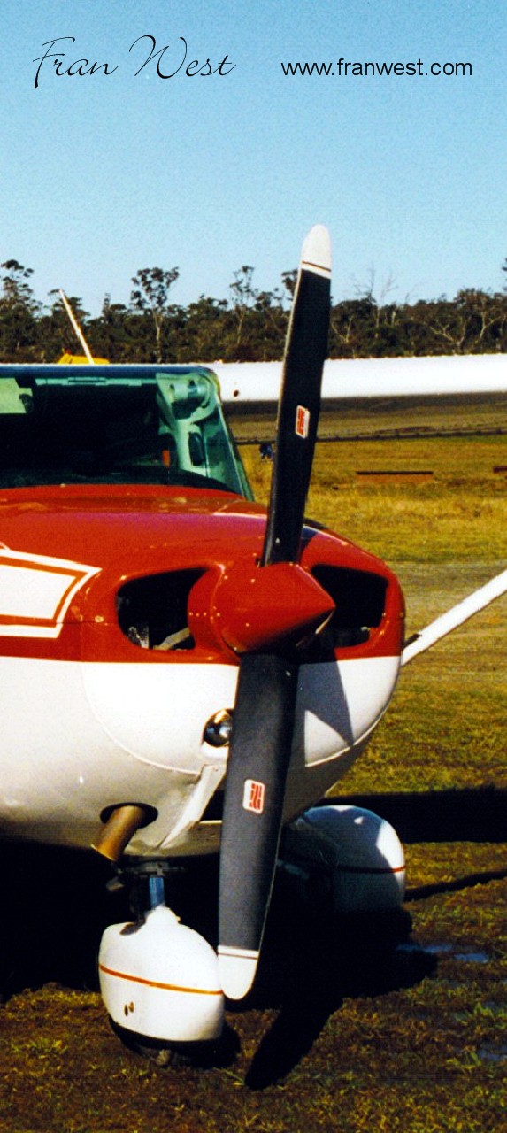 Cessna 172 Propeller