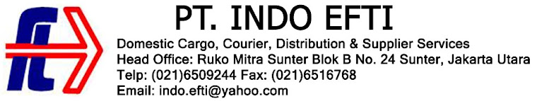 PT. INDO EFTI