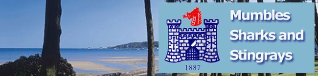 Mumbles Stingrays