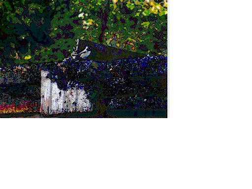 [Bird+at+fire--Smoker.JPG]