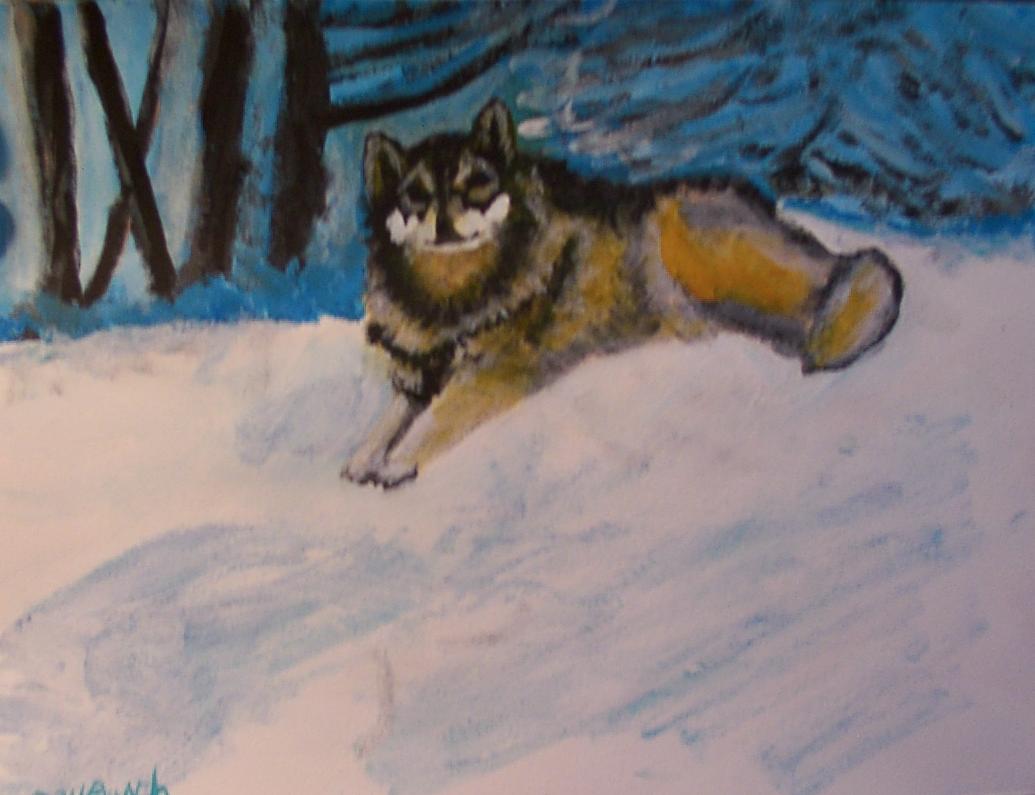 Calm Wolf
