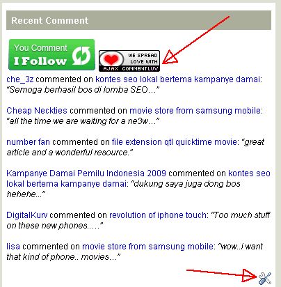 [paste-commentluv-code.jpg]