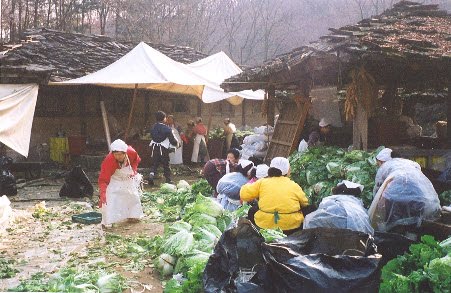 [kimchimaking2.jpg]