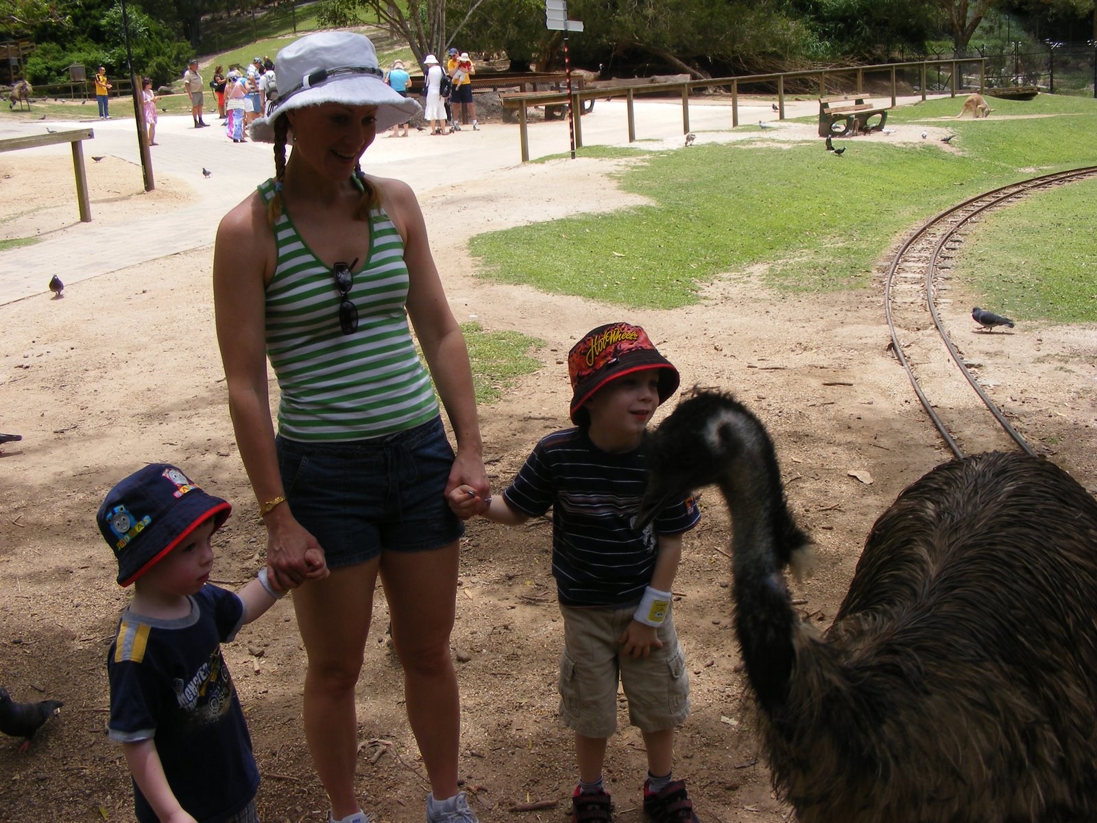 [DSCF4027.JPG]